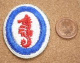 画像: ＜実物USEDカットエッジパッチ 米陸軍水陸両用工兵司令部＞
