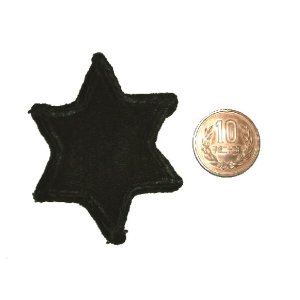画像: ＜実物USEDパッチ 米陸軍第6師団＞