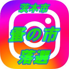 画像: 落選報告