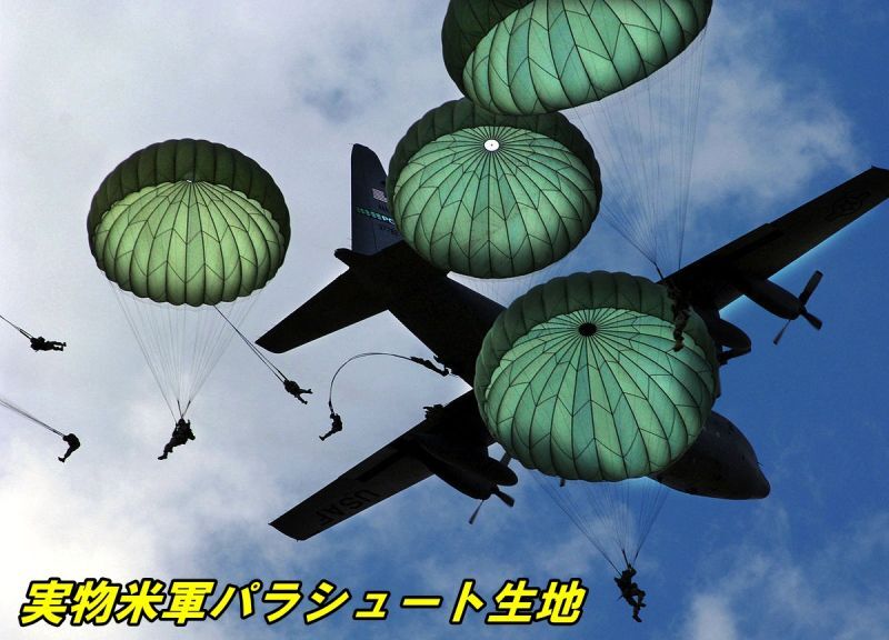 画像3: ＜MIL Fabric 実物米軍パラシュート生地 リメイク エコバッグ＞